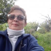 מורה פרטי ב שוורץ ט.