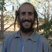 מורה פרטי ב נדב כ.